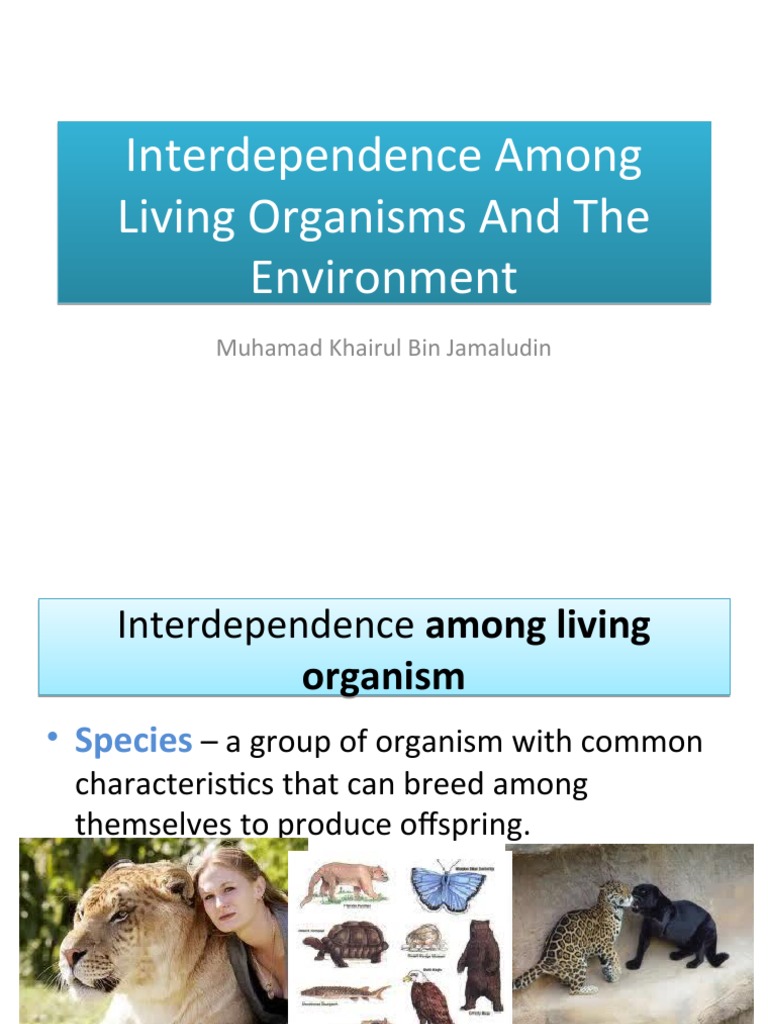 Interdependence Among Living Organisms and the Environment
