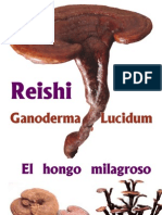 El Hongo Milagroso - Reishi. Ganoderma Lucidum