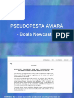 PSEUDOPESTA AVIARA - LP 9
