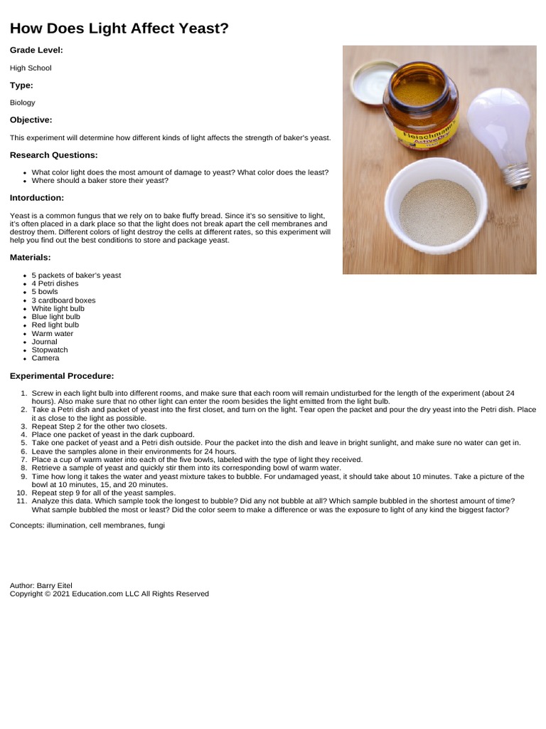 How Does Light Affect Yeast? Grade Level PDF Yeast Color