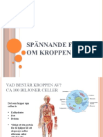 Lektion - Se - 28531 - Spannande Fakta Om Kroppen