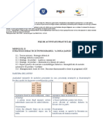 M2 - 8.fisa de Activitate Practica