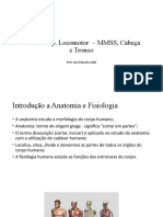 Anatomia Aula 1