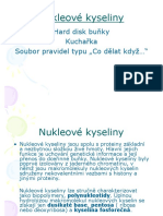 Nukleové Kyseliny