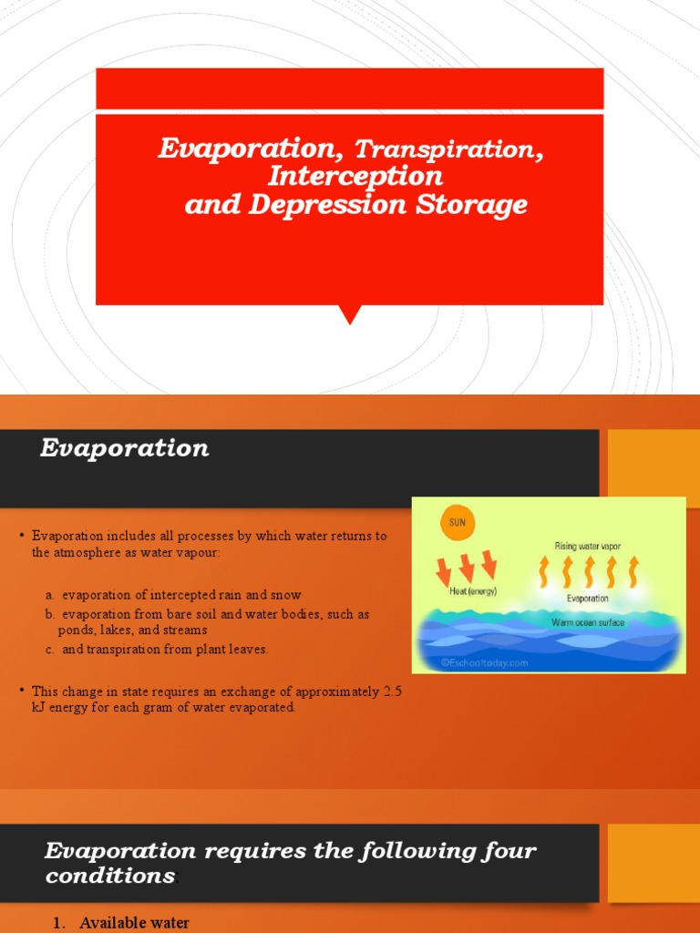 Evaporation,, Interception and Depression Storage: Transpiration | PDF