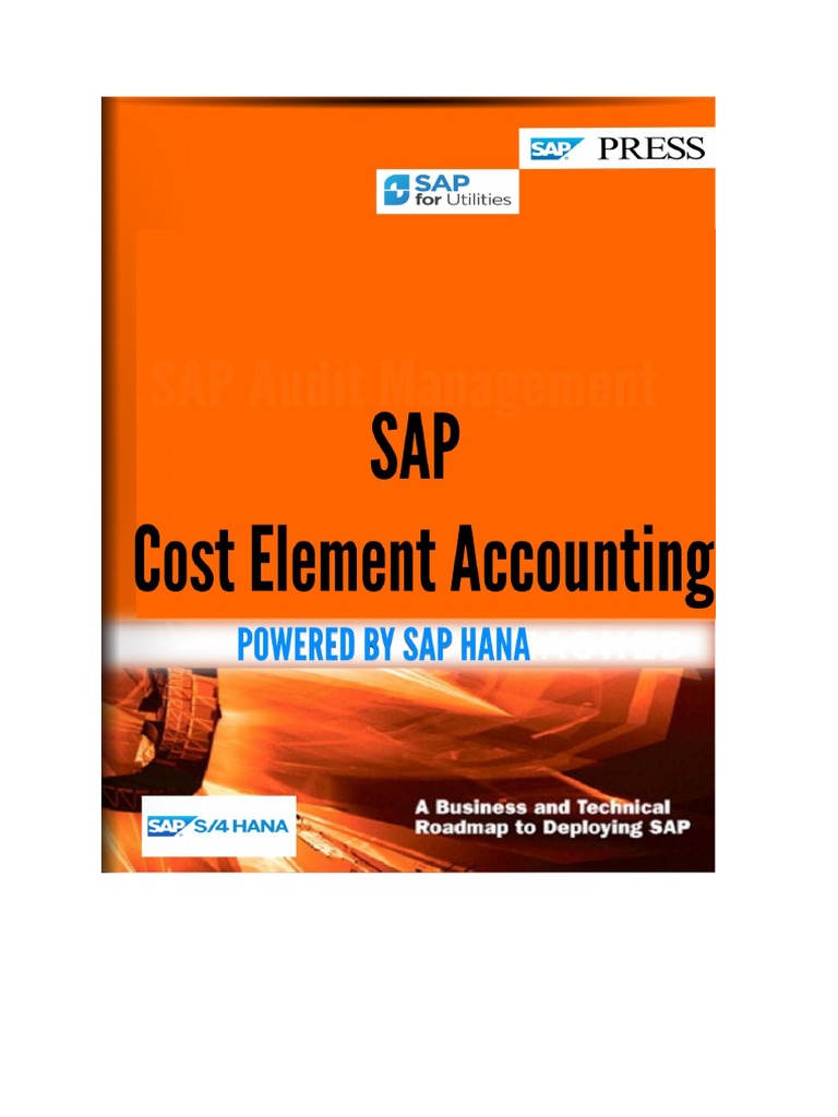 Cost Element Accounting PDF Cost System