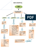 Mapa Conceptual Erp