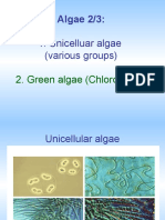 Algae 2/3:: 1. Unicelluar Algae (Various Groups)