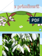 Flori de primavara PowerPoint