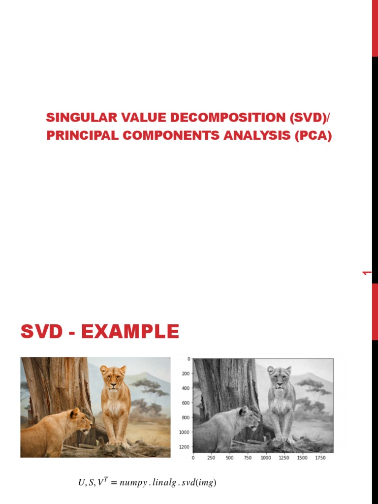 Singular Value (SVD) / Principal Components Analysis (Pca