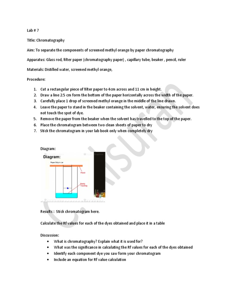 Screened Methyl Orange Chromatography Lab | PDF
