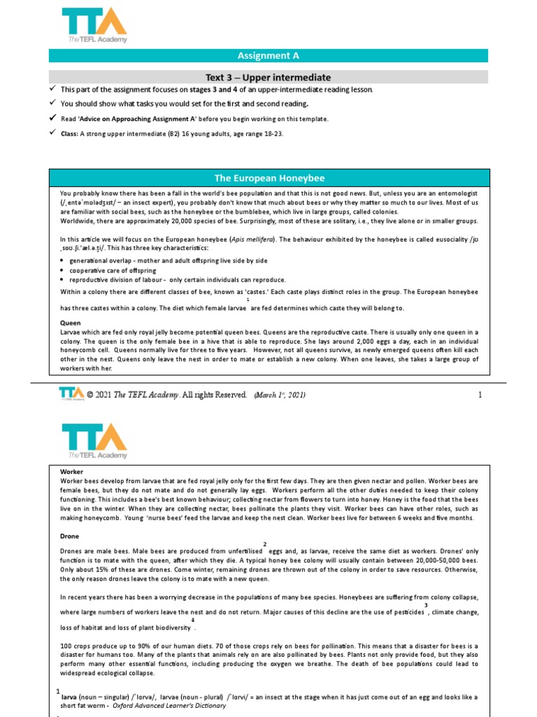 Text 3 - Upper Intermediate: Assignment A | PDF | Honey Bee | Bees