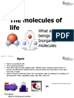 The Molecules of Life: What Are Living Beings Made Of? Inorganic Molecules