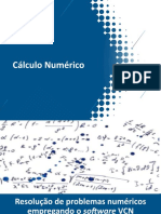 Cálculo Numérico