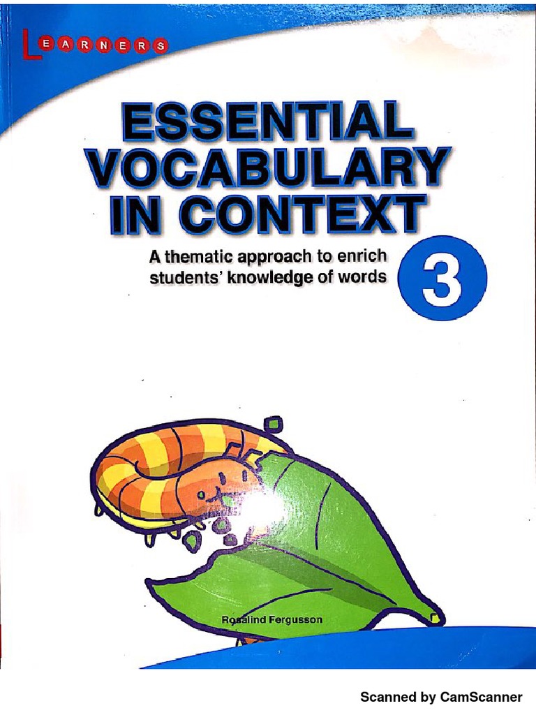 Essential Vocabulary in Context PDF | PDF