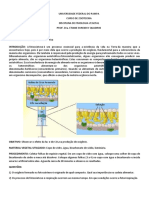 Atividade Pratica 7