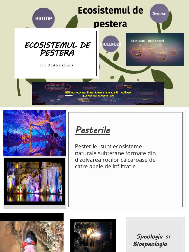 Ecosistemul de Pestera | PDF