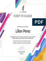 Certificados Lilian Perez