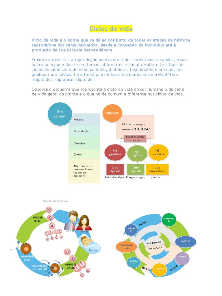 Ciclos de Vida: Comparação entre os Ciclos de Vida Haplonte, Diplonte e ...