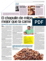 alimento chapulines