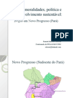 Terra, Moralidades, Politica e Desenvolvimento Sustentável 2