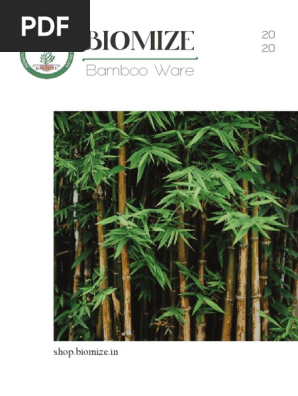 beauty star calathea Buy Calathea Beauty Star Online