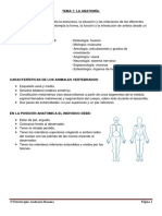 Anatomia I