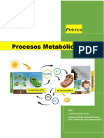 Actividades. Metabolismo