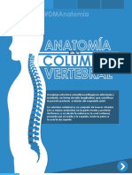 Columna Vertebral