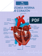 Anatomia Int, De Corazon