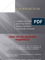 End Particulas Magnéticas