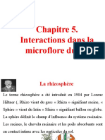 5 Interactions Dans La Microflore Du Sol
