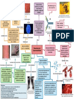 mapa reacciones de hipersensibilidad