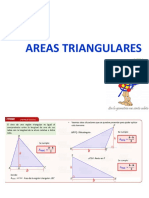 AREAS CUADRANGULARES CEPUNT