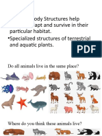 Body Structures of Animals