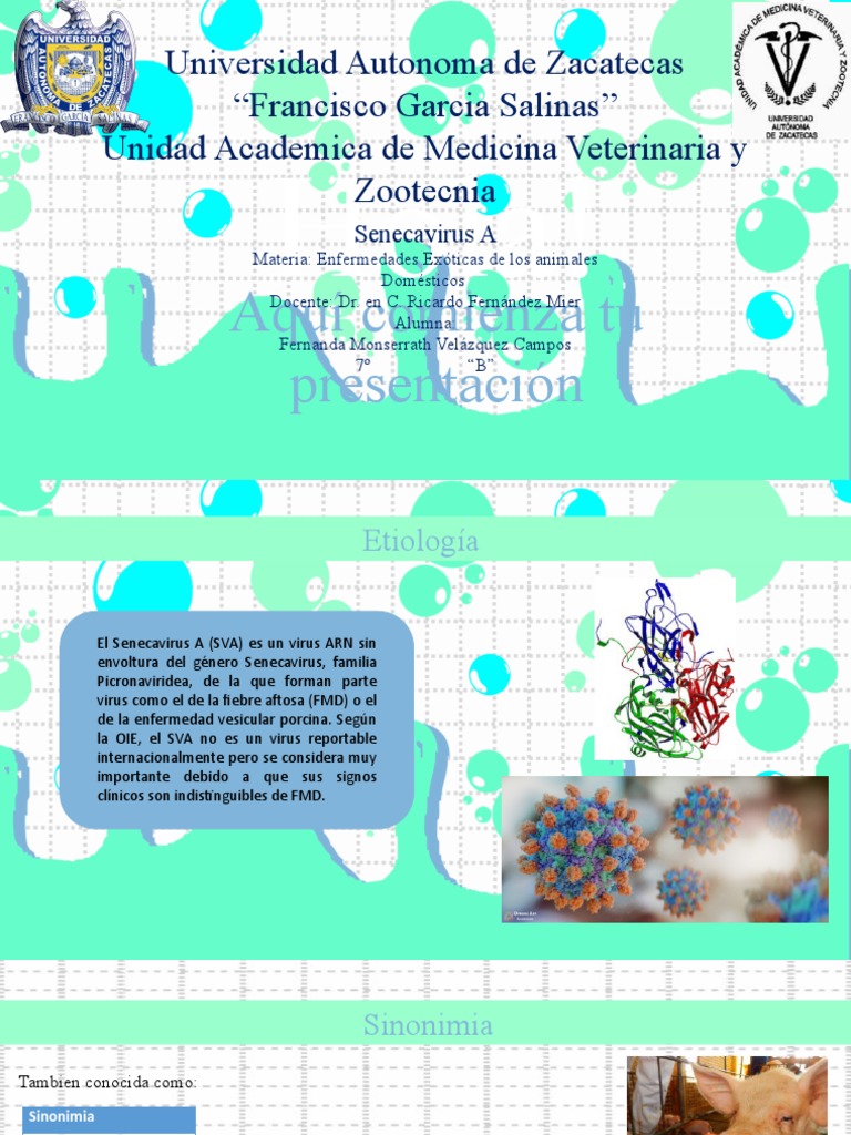 Senecavirus A | PDF | Virus | Salud pública