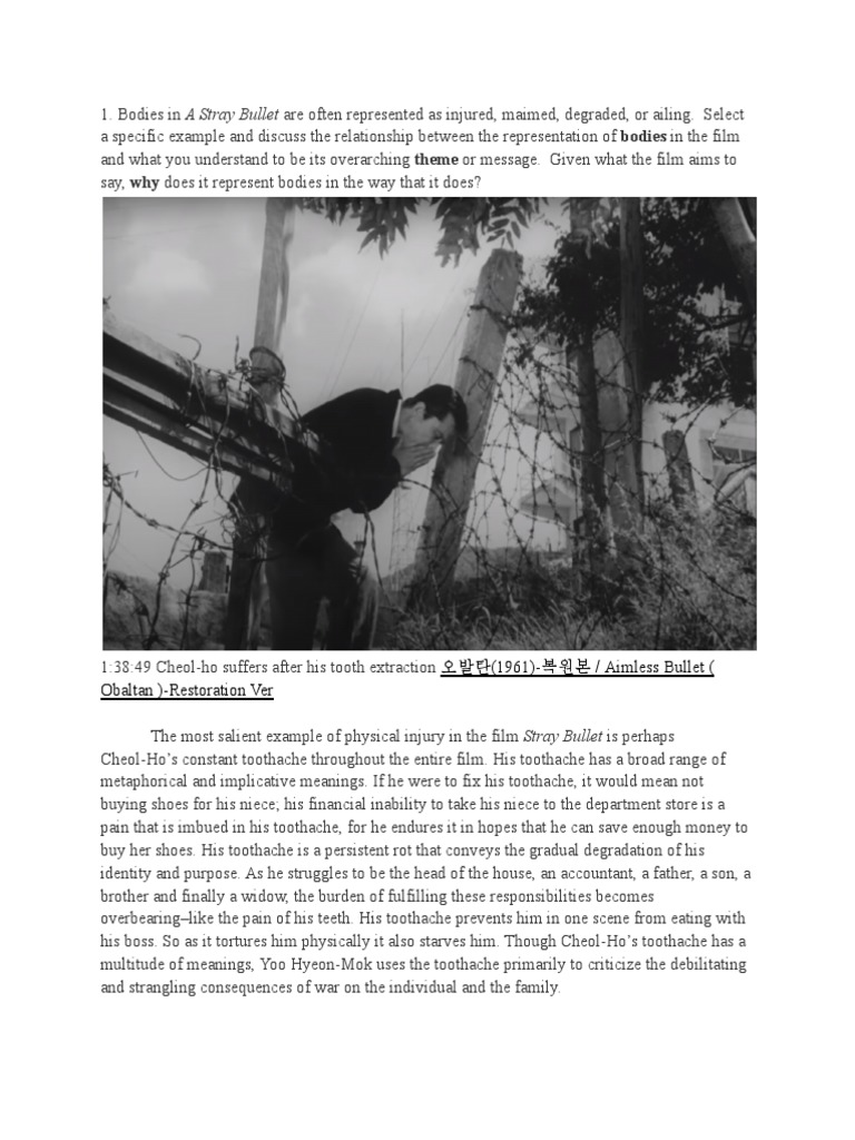 Stray Bullet Essay PDF