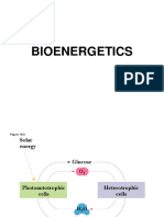 BIOENERGETICS