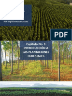 01 - Plantaciones Forestales