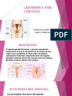 Sistema Reproductor Femenino