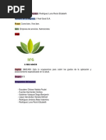 613 Empresa