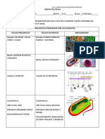 CELULA PROUCARIOTA Y EUCARIOTA