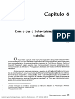 Comportamento e definição Behaviorista