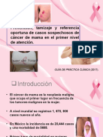 12.cáncer de Mama.