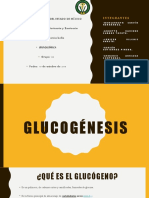 Glucogénesis 2 BONITO (Armando Arriaga)