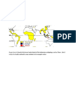 Brugia timori Epidemiology and Life Cycle