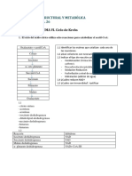 Ciclo de Krebs: reacciones, enzimas y regulación en