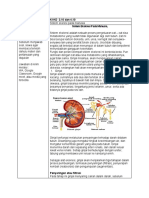 Lampiran Materi KD 3.10 Sistem Ekresi Manusia - 18 Januari2021