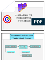 A STRATEGY FOR PERFORMANCE EXCELLENCE