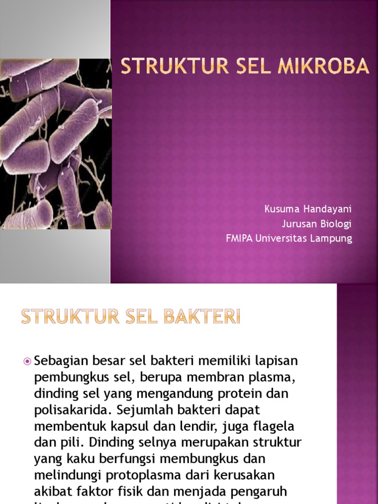Struktur Sel Mikroba | PDF